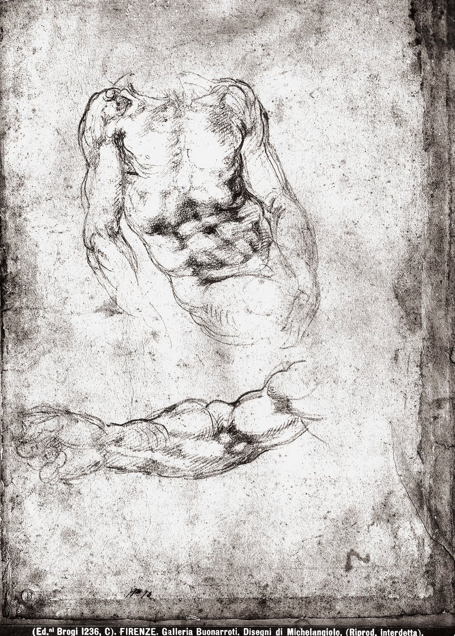 Studie af en mandlig torso og arm af Michelangelo Buonarroti