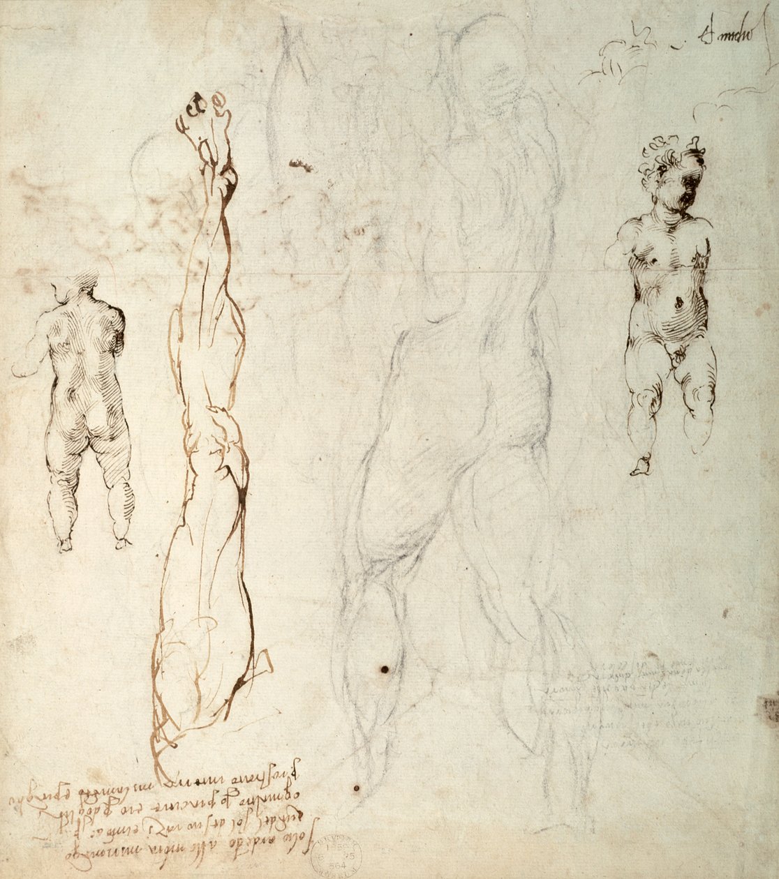 Studie af Kristusbarnet og en anatomisk tegning med noter (sort kridt og brunt blæk på papir) (verso) af Michelangelo Buonarroti
