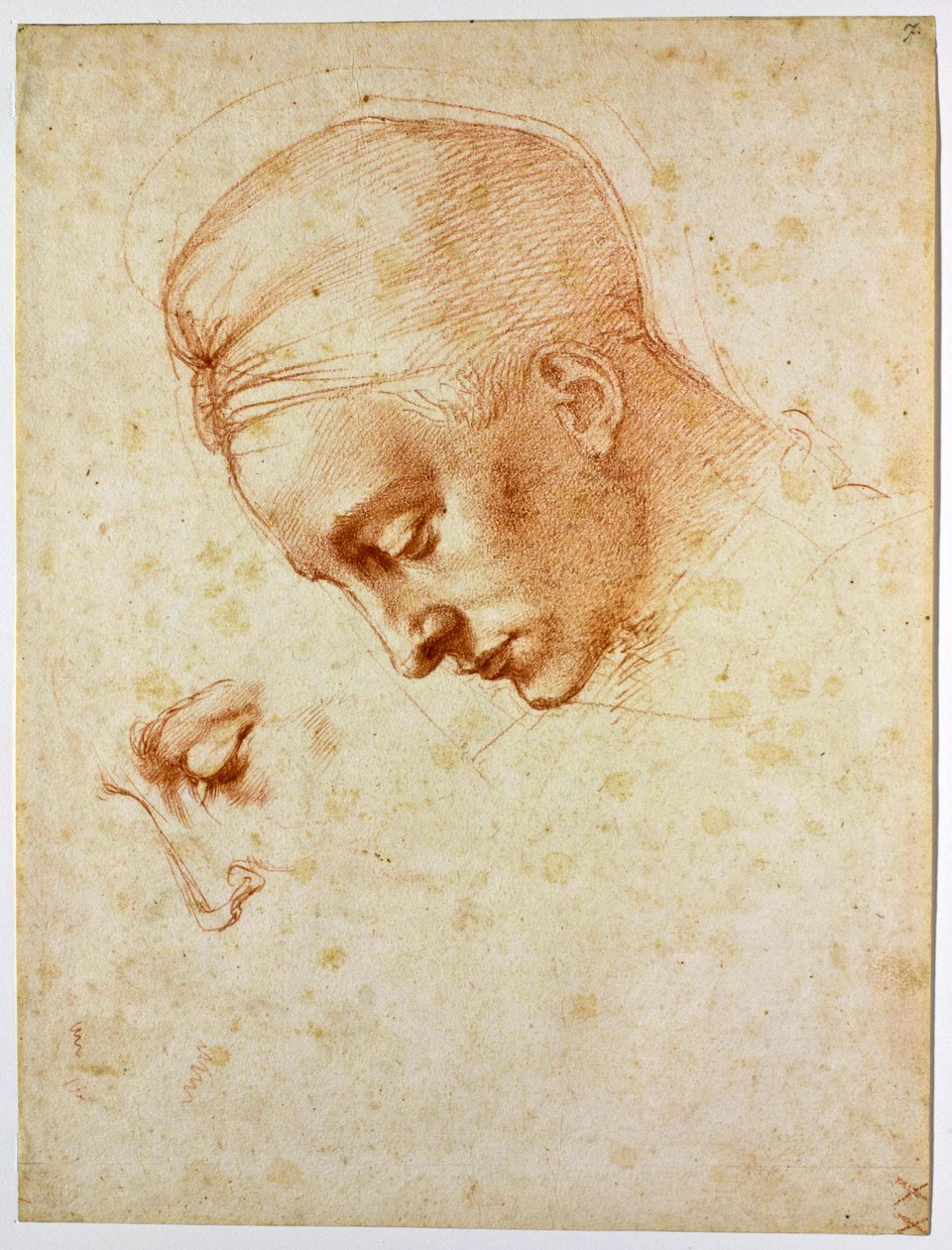 Studer til lederen af Leda, ca 1530 af Michelangelo Buonarroti
