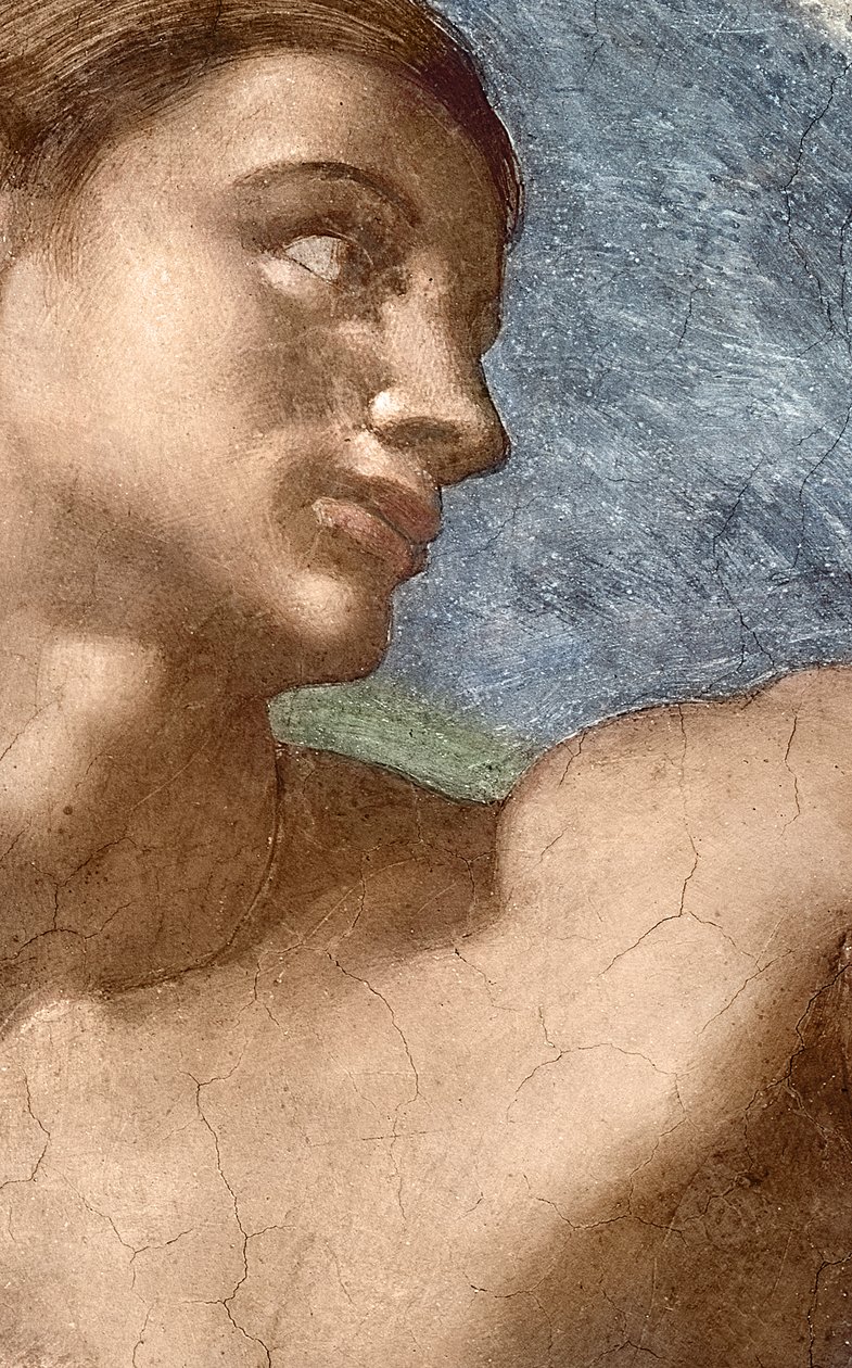 Skabelsen af Adam, detalje af Adams hoved af Michelangelo Buonarroti