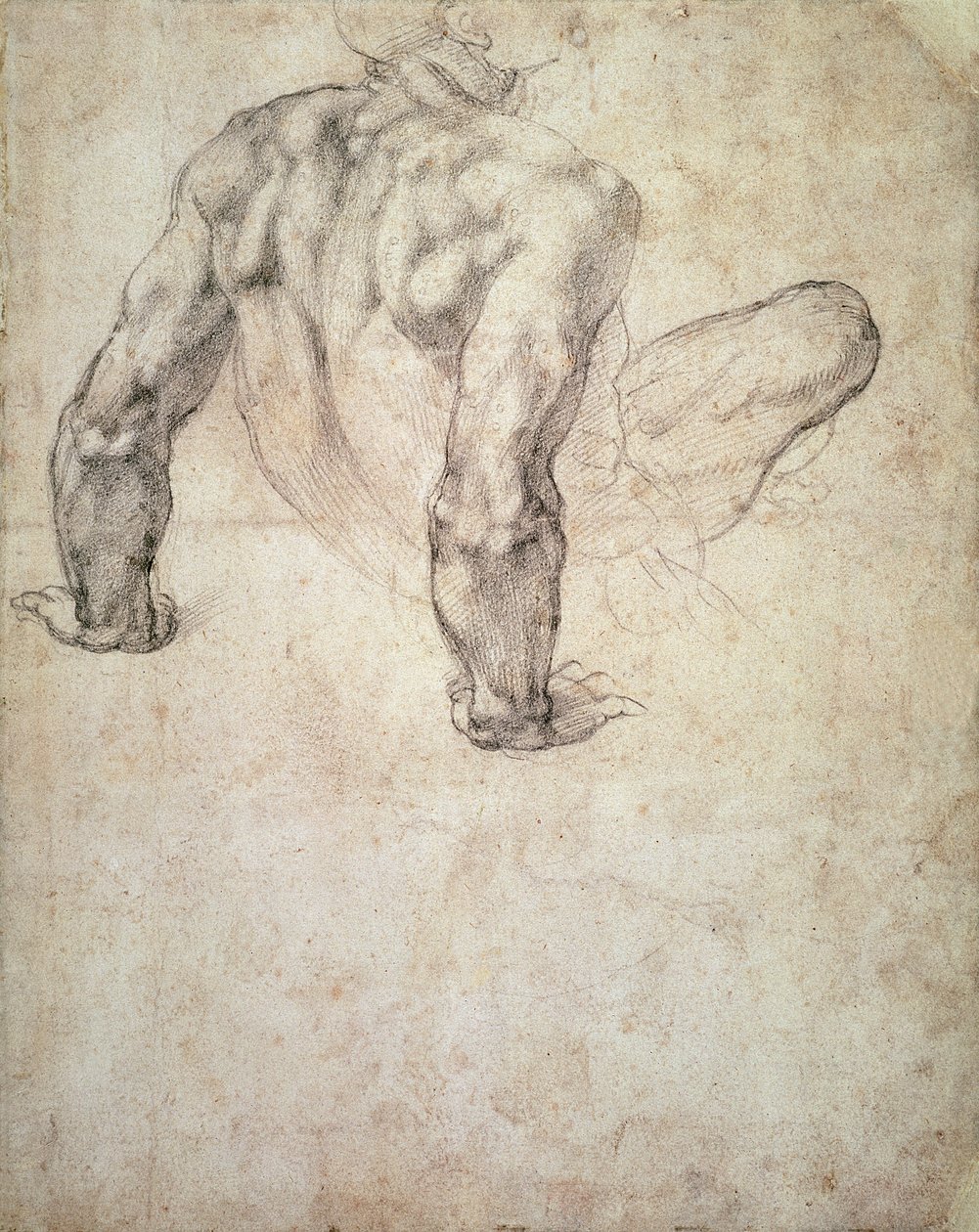 W.63r Studie af en nøgen mand, der læner sig tilbage på sine hænder af Michelangelo Buonarroti