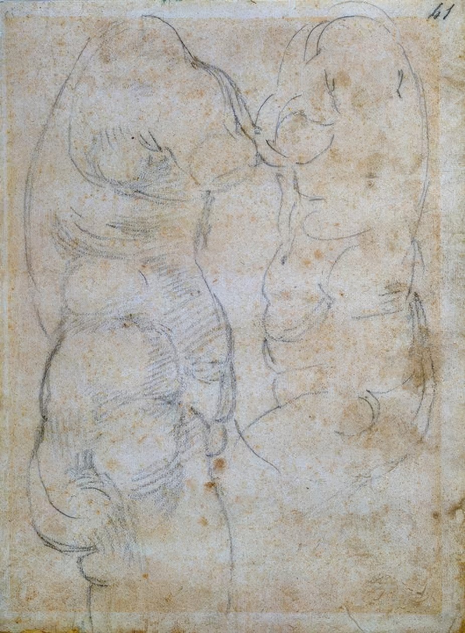 To undersøgelser baseret på en gammel kvindes torso af Michelangelo Buonarroti
