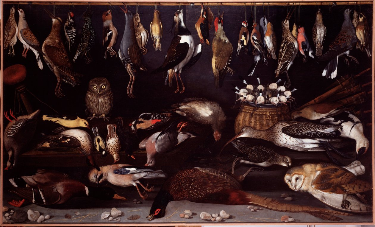 Stilleben med fugle (fugl) Maleri tilskrevet Michelangelo Merisi dit Caravaggio (Caravaggio) (1571-1610) Rom Galleria Borghese af Michelangelo Merisi da (attr. to) Caravaggio