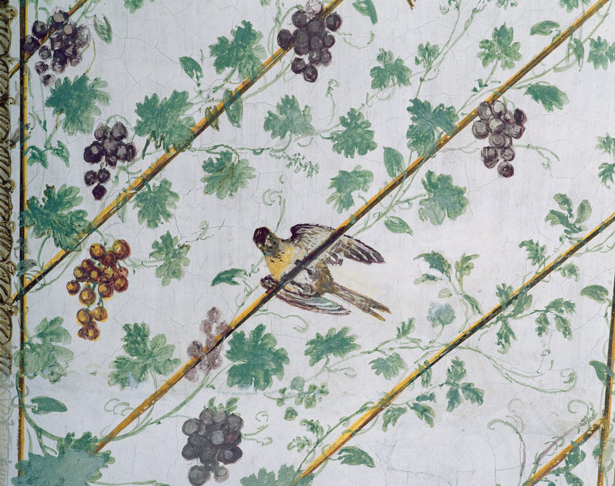 Detalje af kælderens hvælving, foto af Villa Medicea di Careggi af Michelozzo di Bartolommeo