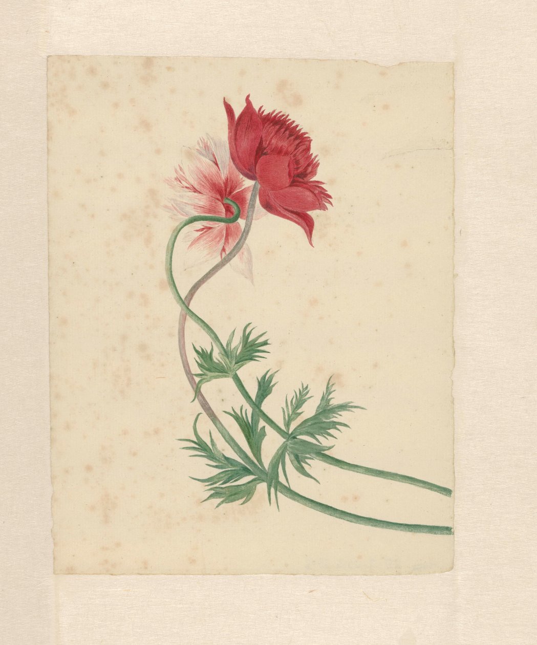 To grene med hver en blomst af Michiel Van Huysum