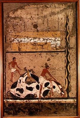 Begravelsesofring af en tyr, fra Itis grav (vægmaleri) af Middle Kingdom Egyptian