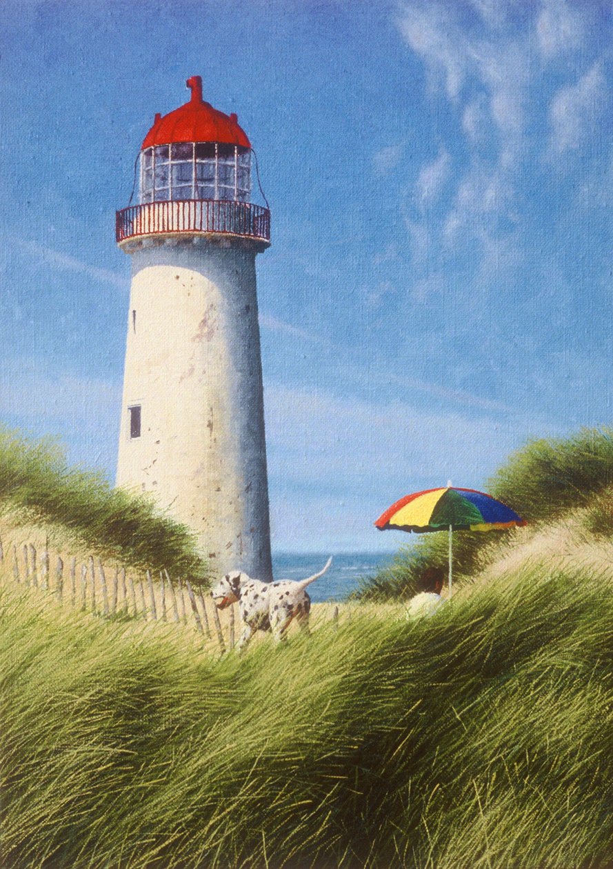 En dag i klitterne af Mike Briscoe