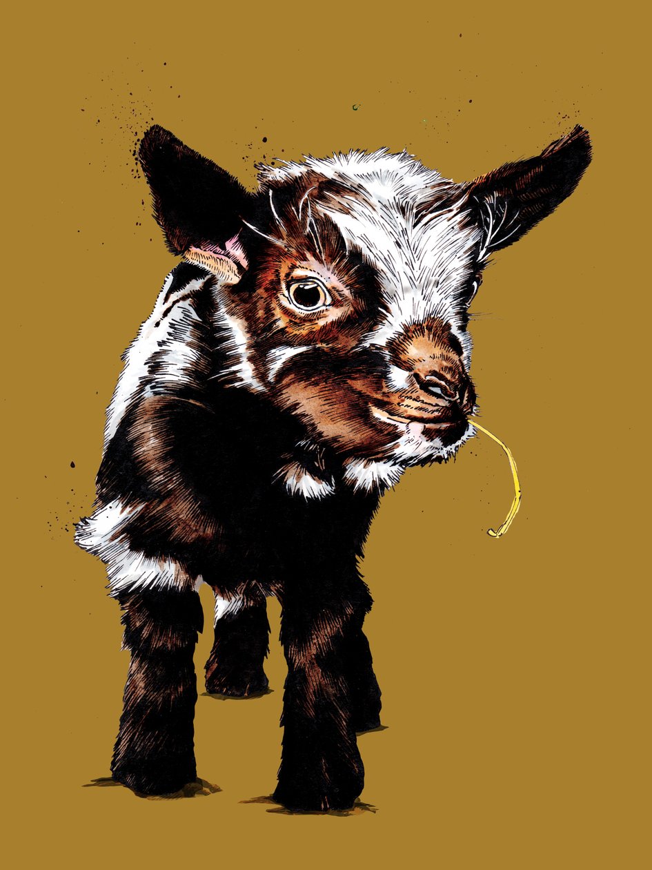 Babyged på gyldengul, 2020 af Mike Davis