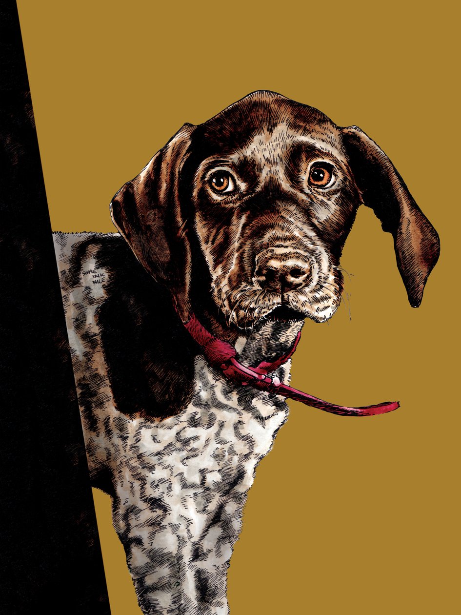 Bye Bye Puppy på Golden Yellow, 2020 af Mike Davis