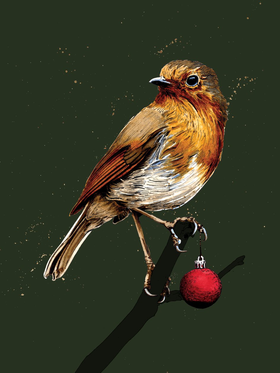 Christmas Robin på Forest Green, 2020 af Mike Davis