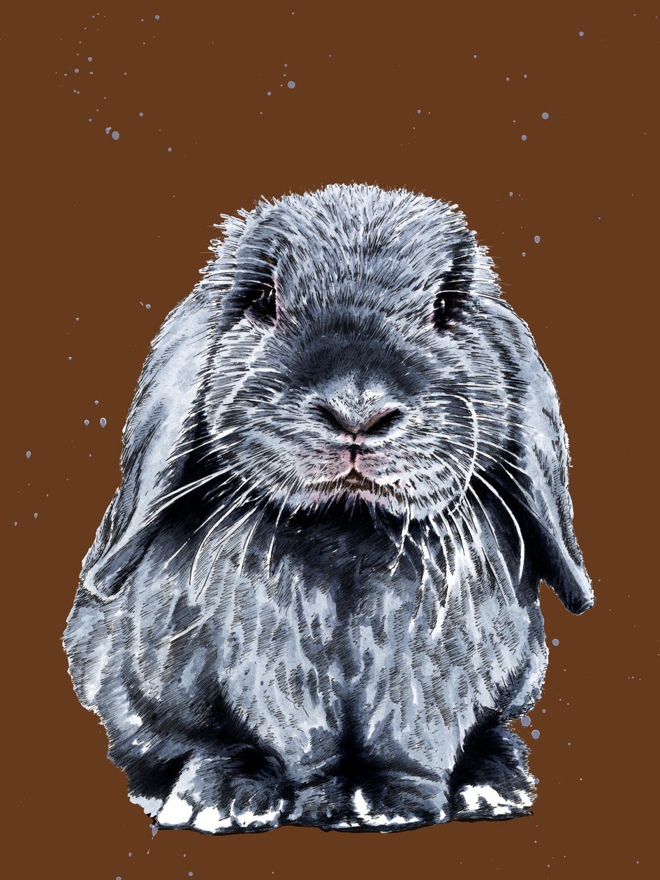 Grey One The Bunny on Burnt Orange, 2020 af Mike Davis