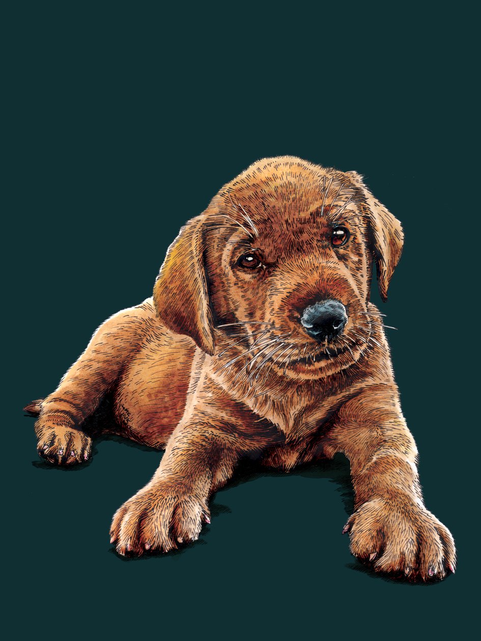 Marge The Puppy på Deep Cyan, 2021 af Mike Davis