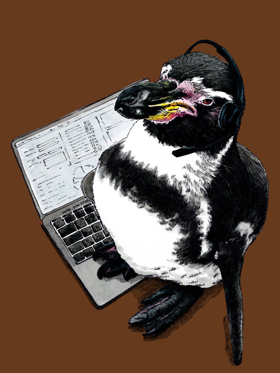 New Job Penguin på Burnt Orange, 2020 af Mike Davis