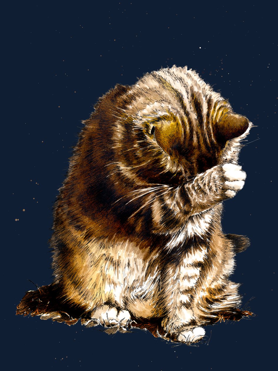 Smallfry The Cat on Midnight Blue, 2020 af Mike Davis