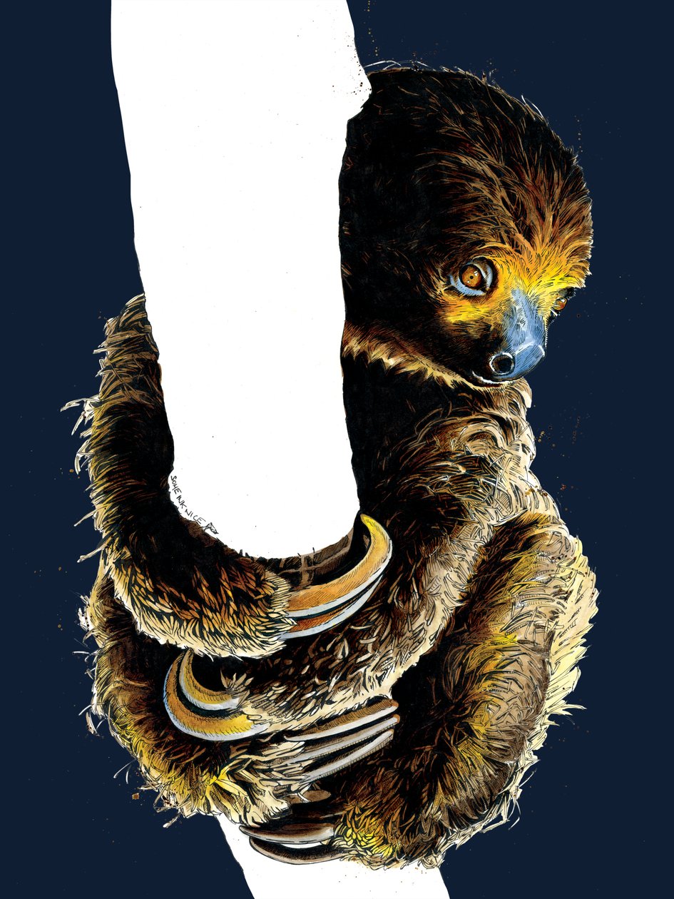 Talita The Sloth on Midnight Blue, 2020 af Mike Davis