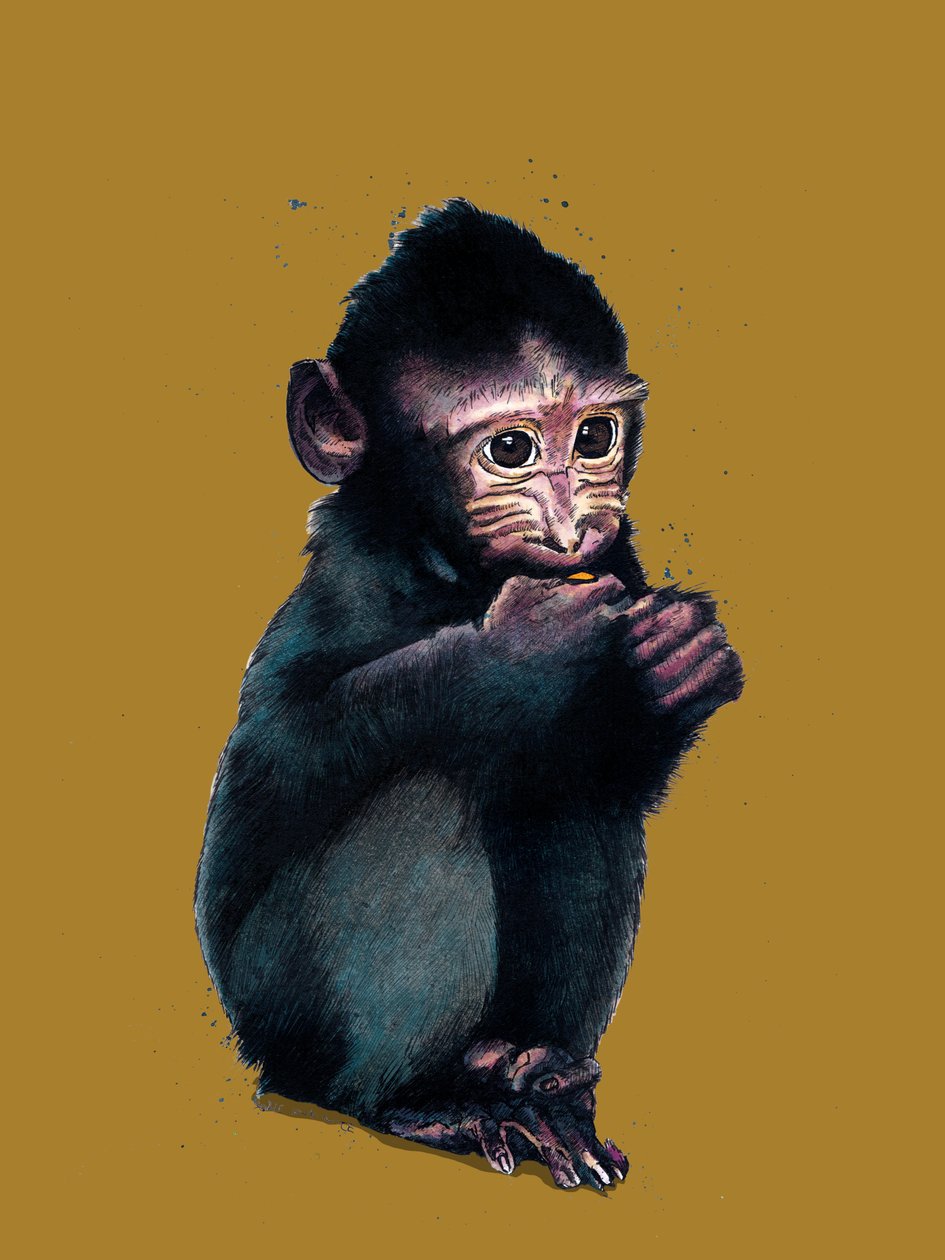 The Baby Makaque on Golden Yellow, 2020 af Mike Davis