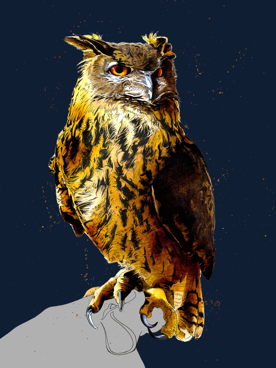The Eagle Owl on Midnight Blue, 2020 af Mike Davis