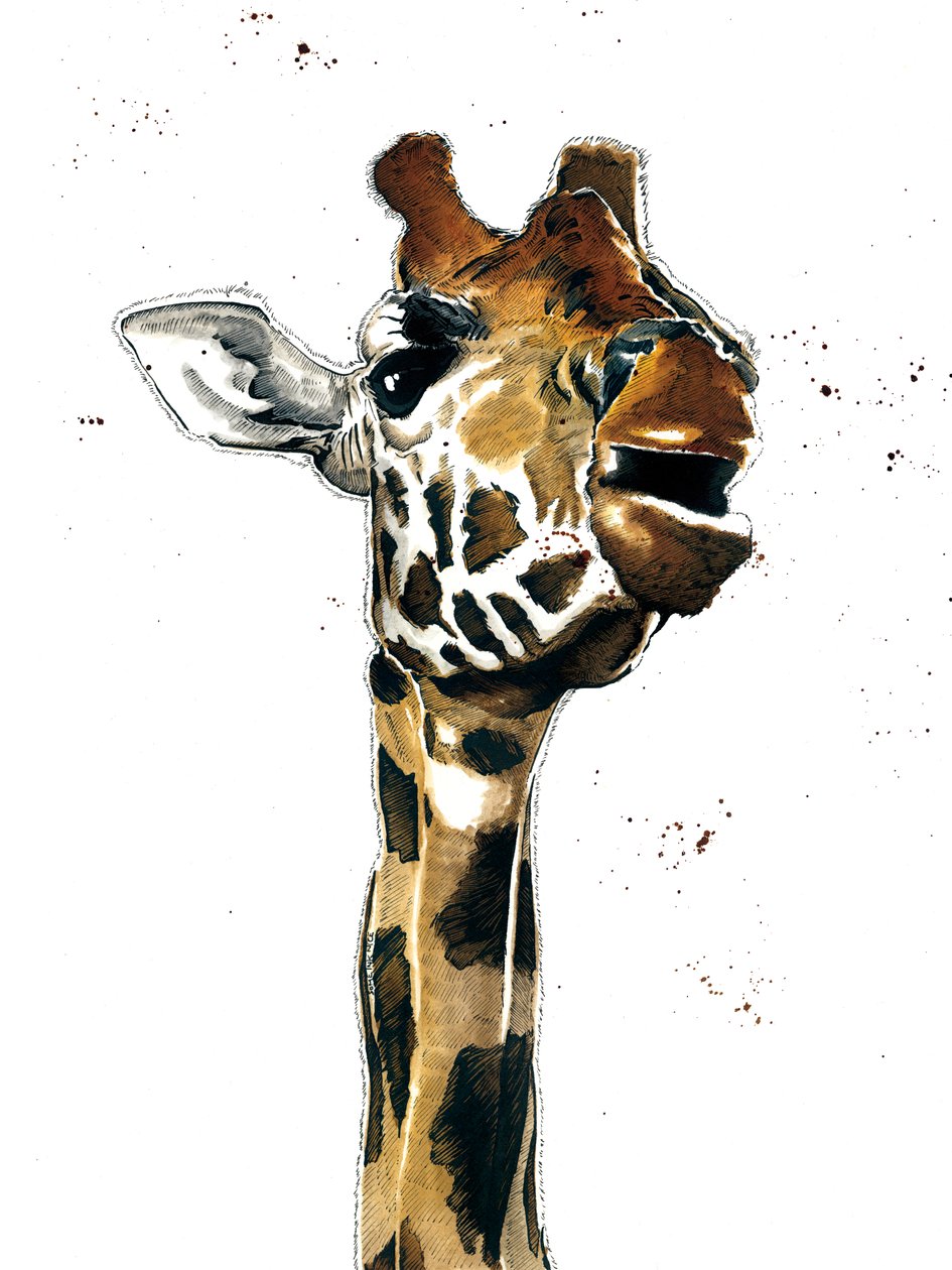 Giraffen på hvidt, 2019 af Mike Davis