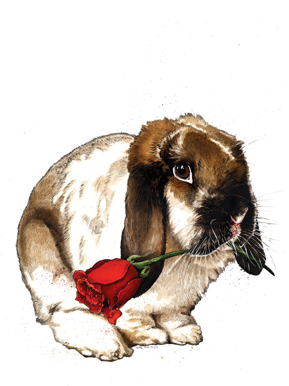 The Love Bunny on White, 2020 af Mike Davis