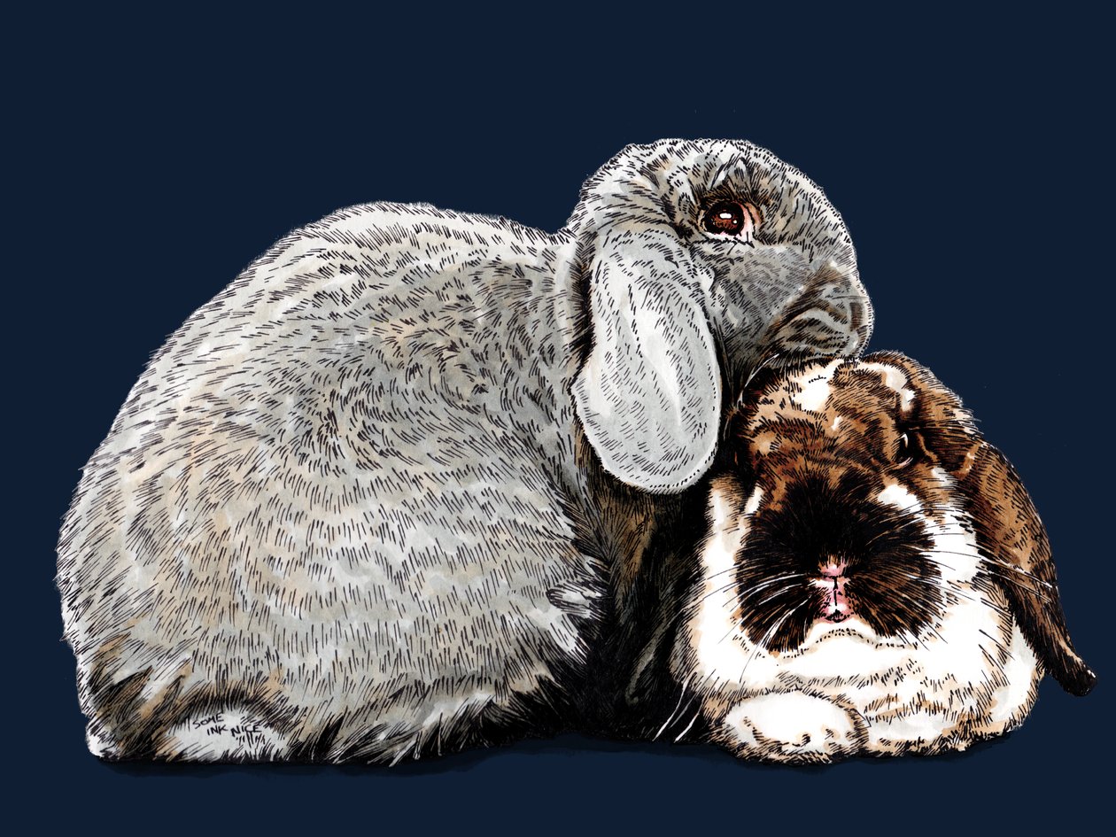 Tænker på Bunnies on Midnight Blue, 2020 af Mike Davis