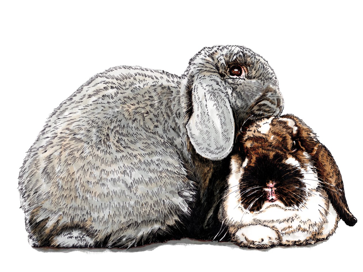 Tænker på Bunnies on White, 2020 af Mike Davis