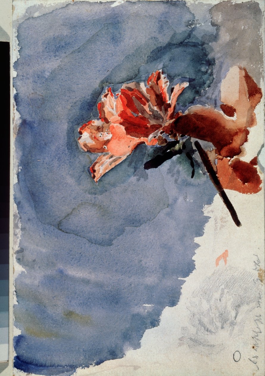 The Red Azalea (Red Azalea) - Kunstværk af Mikhail Alexandrovich Vrubel (Vrubel) (1856-1910) akvarel på papir af Mikhail Aleksandrovich Vrubel