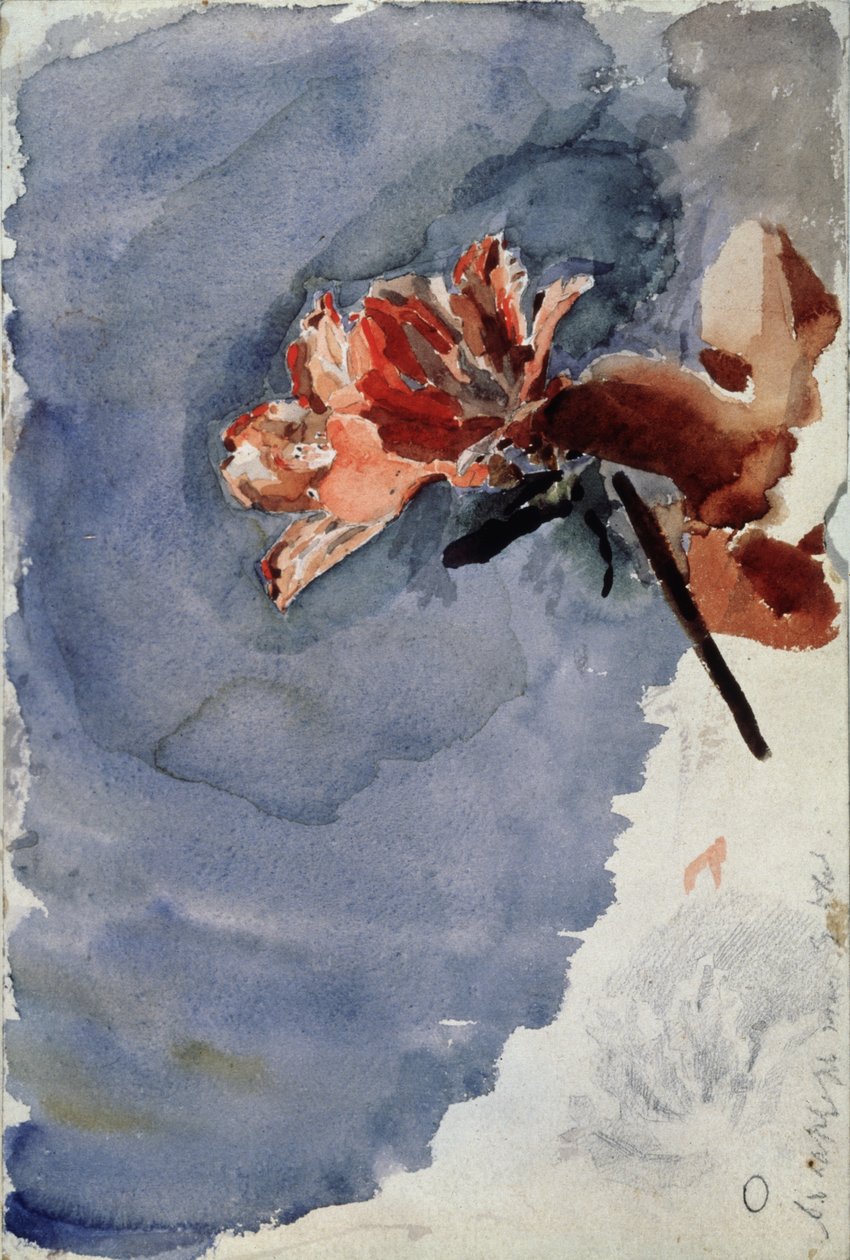 Rød Azalea, 1886-1887 af Mikhail Aleksandrovich Vrubel