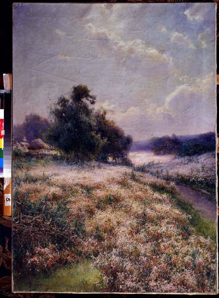Blomstrende eng (Blooming Meadow). Maleri Mikhail Andreyevich Berkos (1861-1919). Olie på lærred af Mikhail Andreyevich Berkos