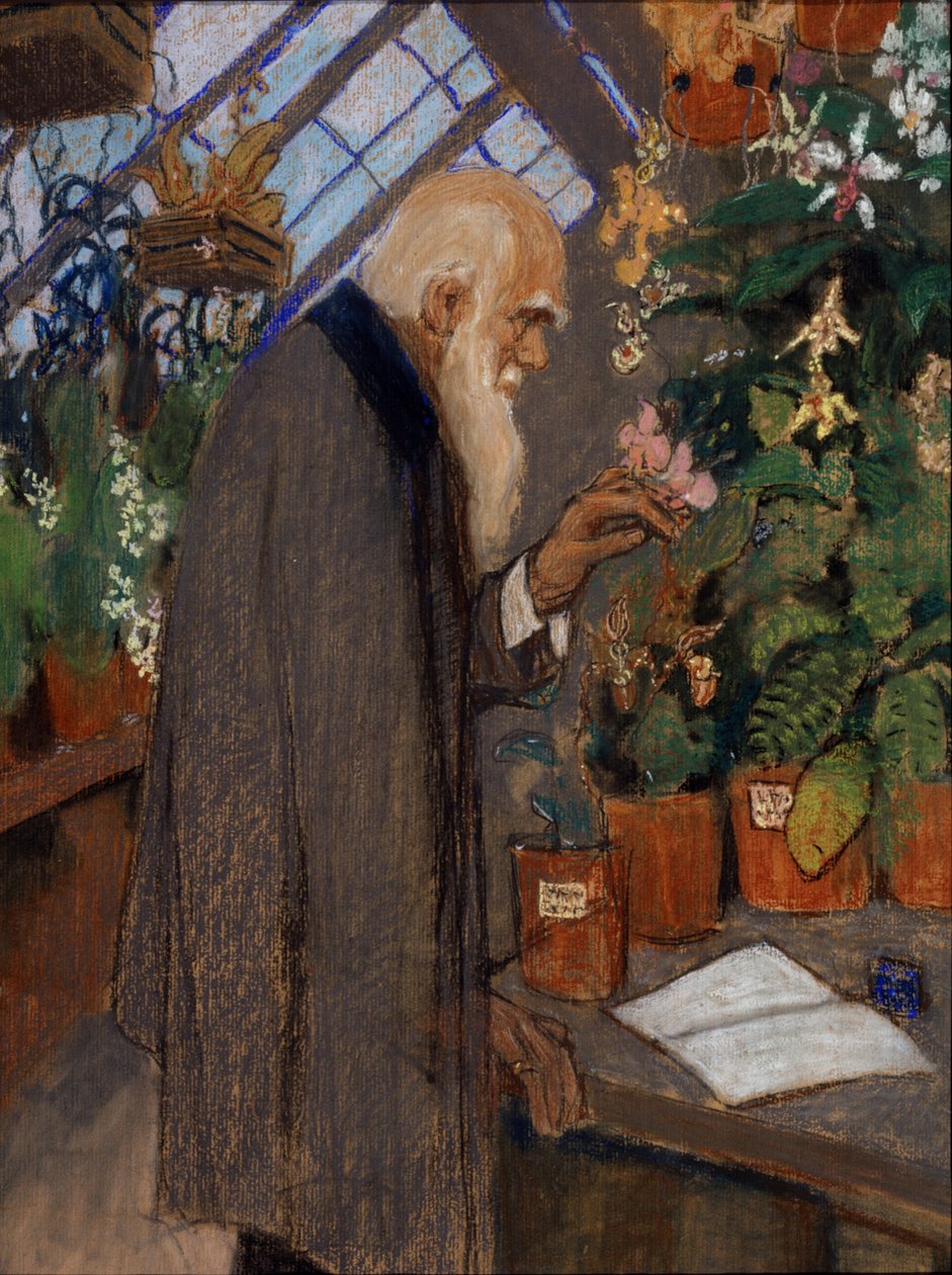 ""Portræt af videnskabsmanden Charles Robert Darwin (1809-1882) der undersøger planter i Langdon-Down drivhuset"" Maleri af Mikhail Dmitrievich Ezuchevsky (1880-1928) 1920 State Darwin Museum, Moskva af Mikhail Dmitrievich Ezuchevsky