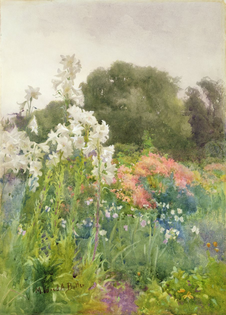 Madonna Lilies (wc på papir) af Mildred Anne Butler
