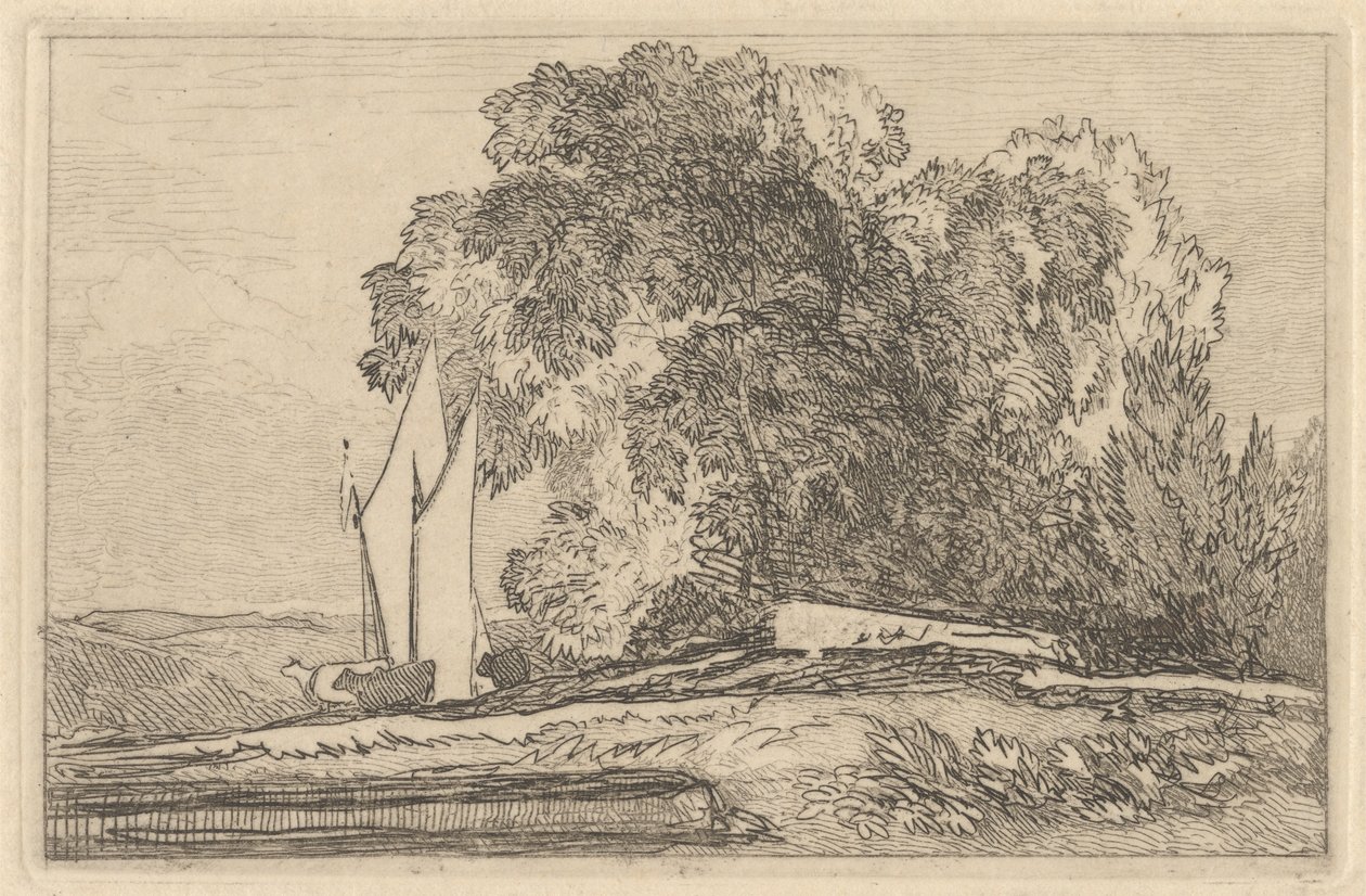 Studie af træer på bredden af Yare af Miles Edmund Cotman