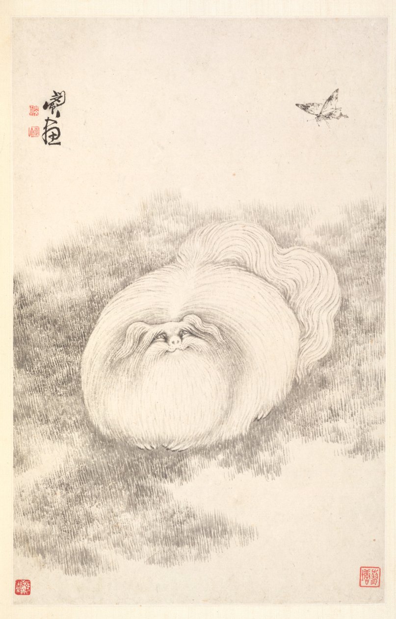 Kat og sommerfugl, 1788. af Min Zhen