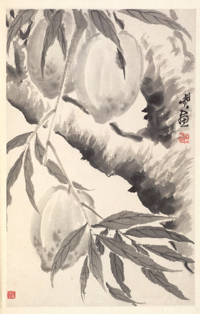 Fersken, 1788. af Min Zhen