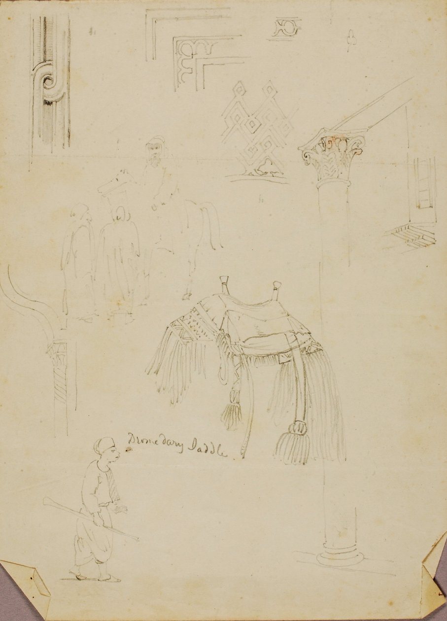 Dromedarsadel/studier af Miner Kilbourne Kellogg