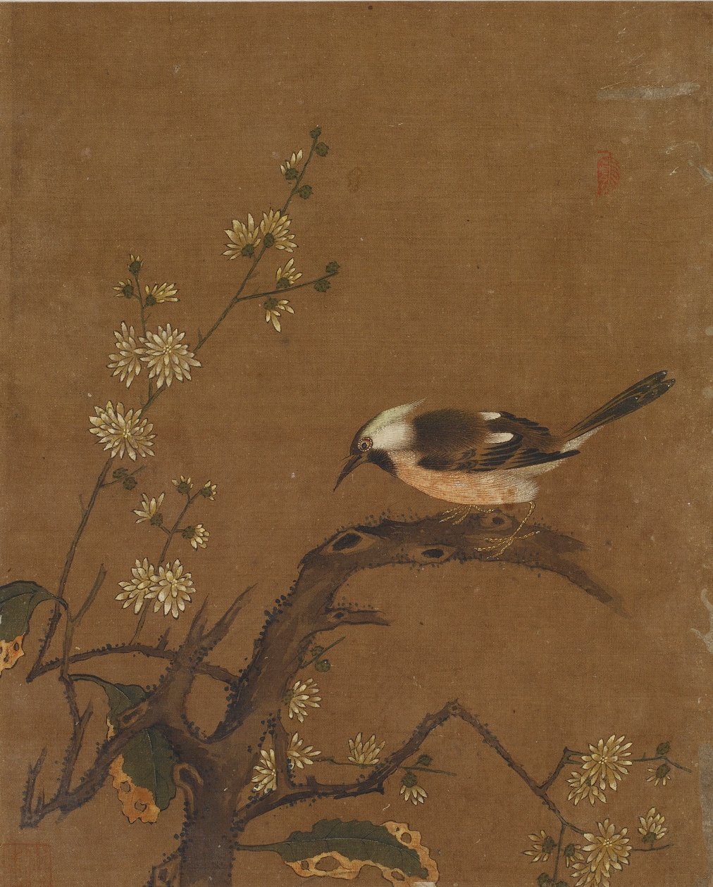 Ti billeder af fugle og blomster (farve på silke) af Ming Dynasty Chinese School