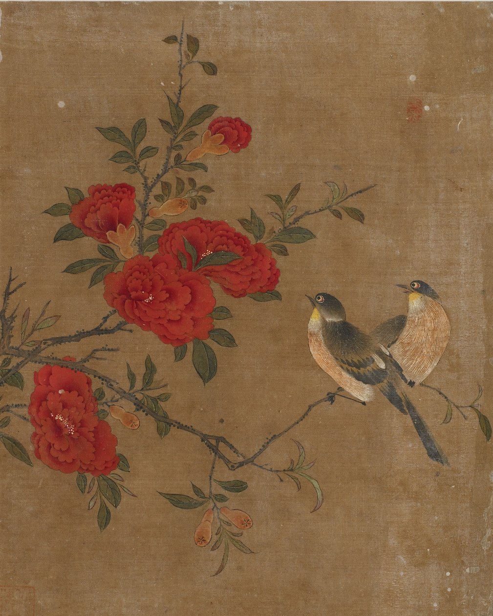 Ti billeder af fugle og blomster (farve på silke) af Ming Dynasty Chinese School