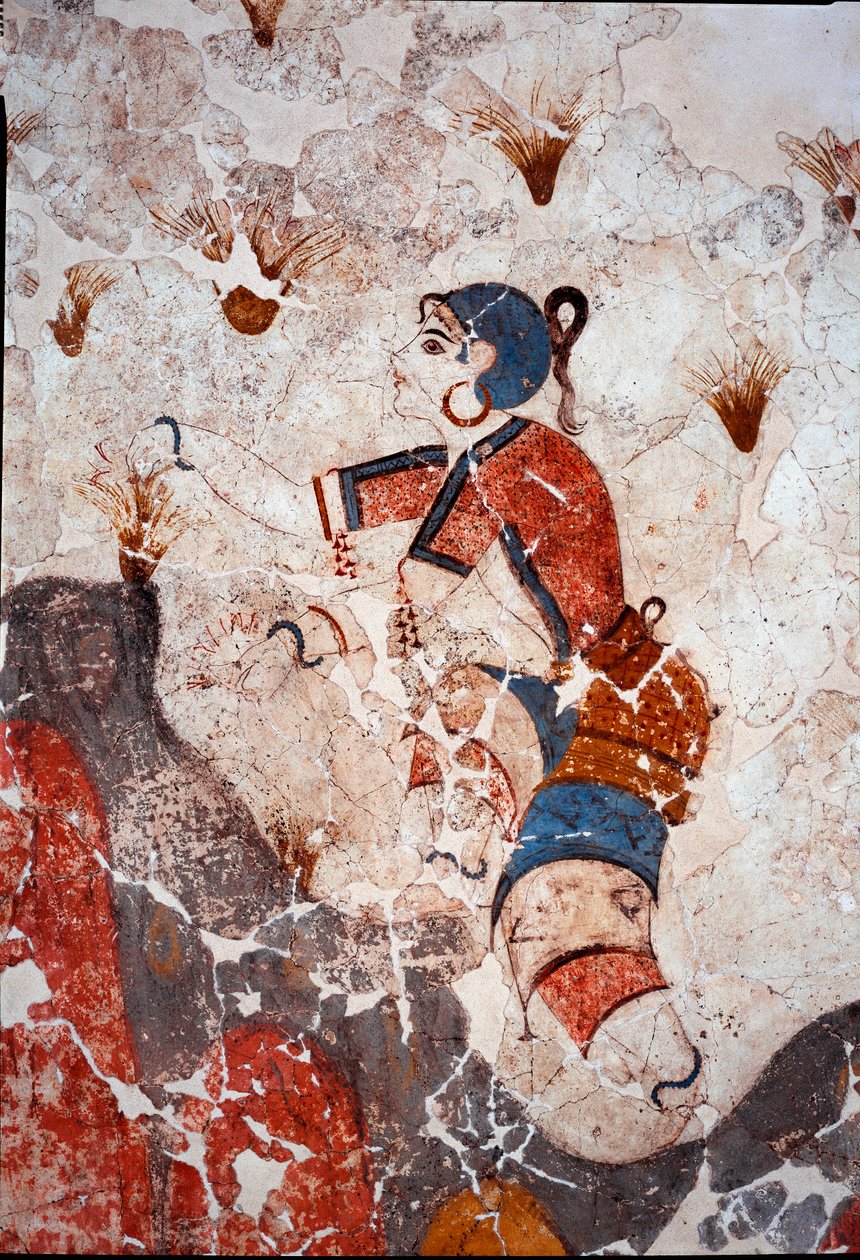 Minoisk civilisation: kvinder plukker safran. Detalje af en fresco fra det lustrale bassin i Xeste 3 i Akrotiri (Thera), Santorini. Svag. 244x266 cm 16. århundrede f.Kr. Santorini, Samling af fresker af Akrotiri a Thera - minoisk civilisation: kvinder pluk af Minoan