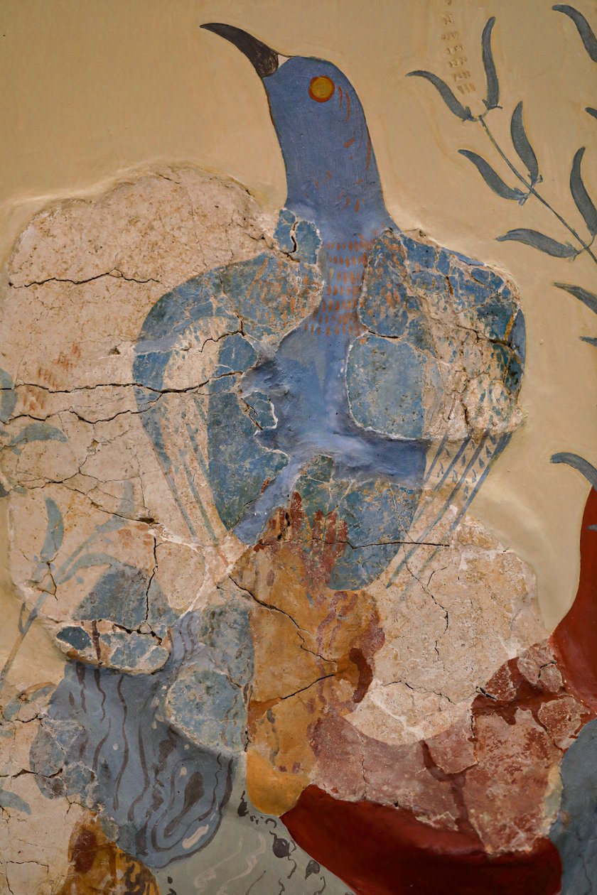 "Blå fugl" Fresco eller "Den blå fugl på Kreta". Knossos af Minoan