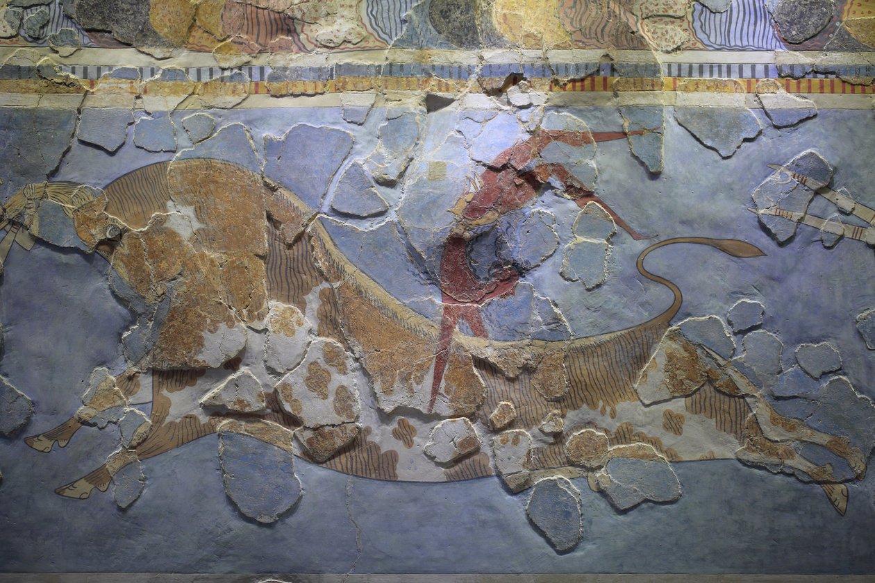 Minoisk kunst. Den "Tyrespringende" Fresco. Tyrespringende scene, der skildrer, hvordan denne sport blev udført. Fresken blev fundet på østsiden af Knossos-paladset af Minoan