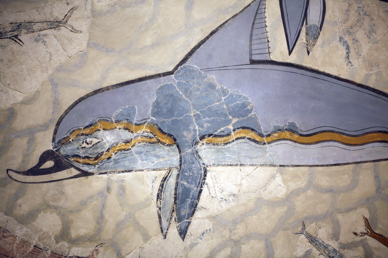 Minoisk kunst. "Delfinfresken". Kalkmaleriet dekorerede væggen eller gulvet i en sal over dronningens megaron. Fresko rekonstrueret ud fra fragmenter af det originale værk fundet i Knossos (1600 - 1450 f.Kr.). Arkæologisk museum, Herakleion, Kreta. af Minoan