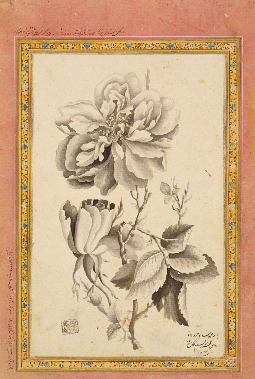 Rose, 1799-1800 (blækvask på papir) af Mirza Baba