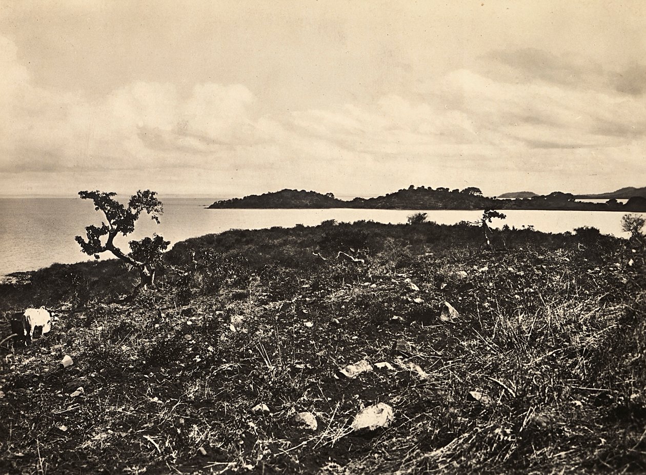 Opbygning af et imperium i den fascistiske tidsalder: Lake Tana. Etiopien, 09/05/1936 (s/hvid foto) af Modestino Baldinetti