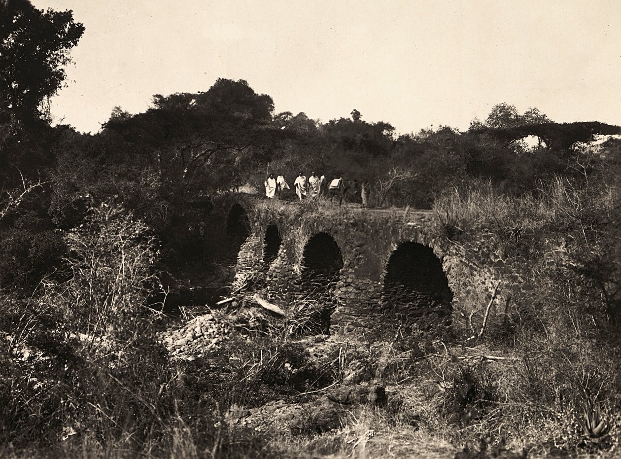 Bygning af et imperium i den fascistiske tidsalder: Portugisisk bro, 09/05/1936 (s/h foto) af Modestino Baldinetti