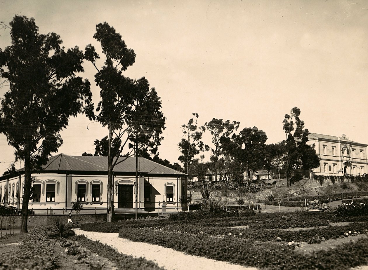 Opbygning af et imperium i den fascistiske tidsalder: kreds af embedsmænd i Asmara, 09/05/1936 (s/h foto) af Modestino Baldinetti