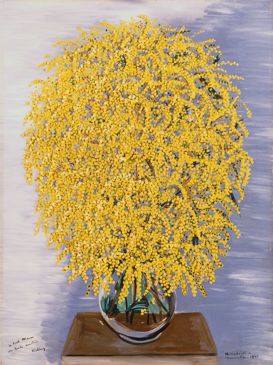 Mimosaer af Moise Kisling