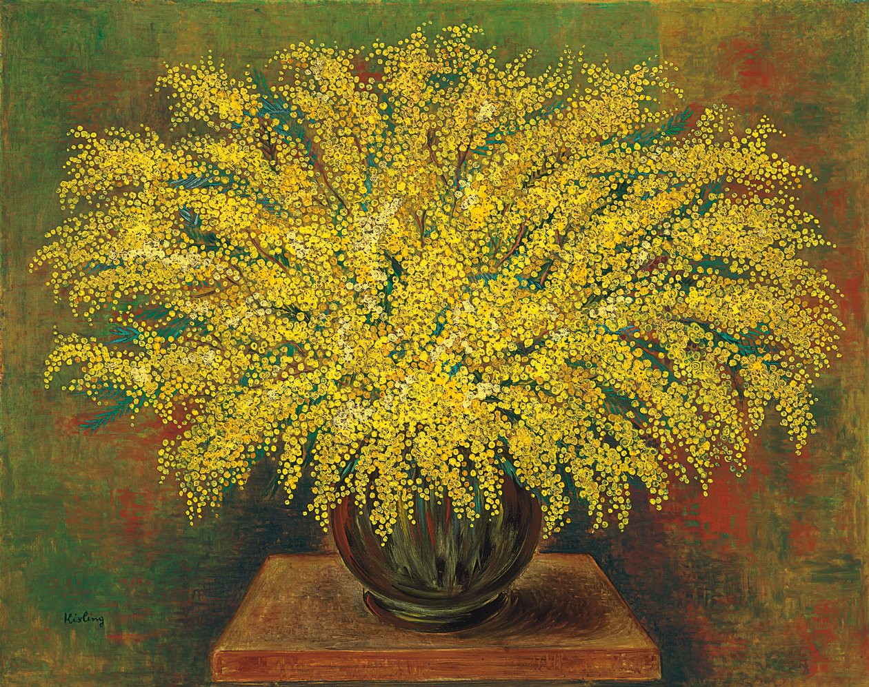 Mimosaer af Moise Kisling