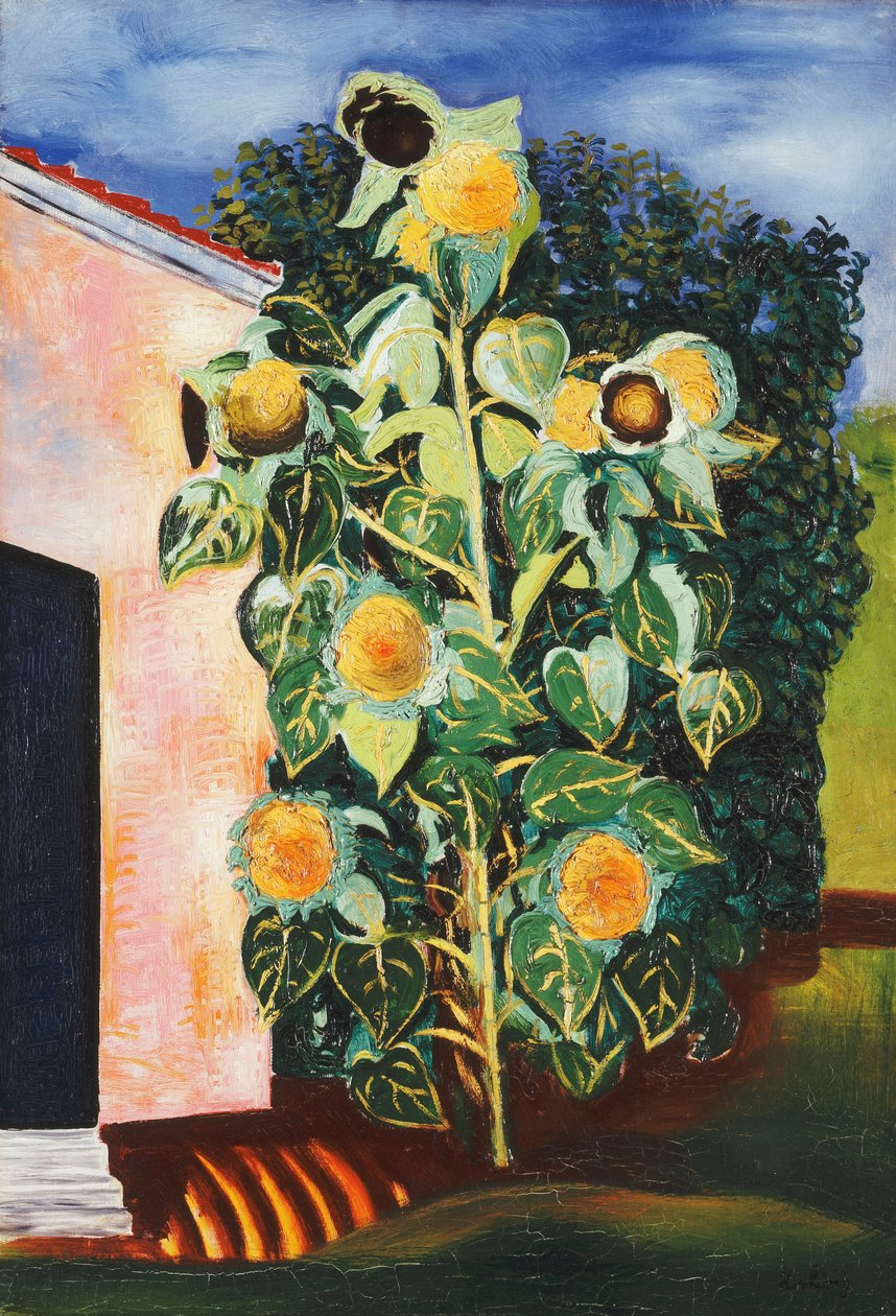 Solsikker; Les Tournesols af Moise Kisling