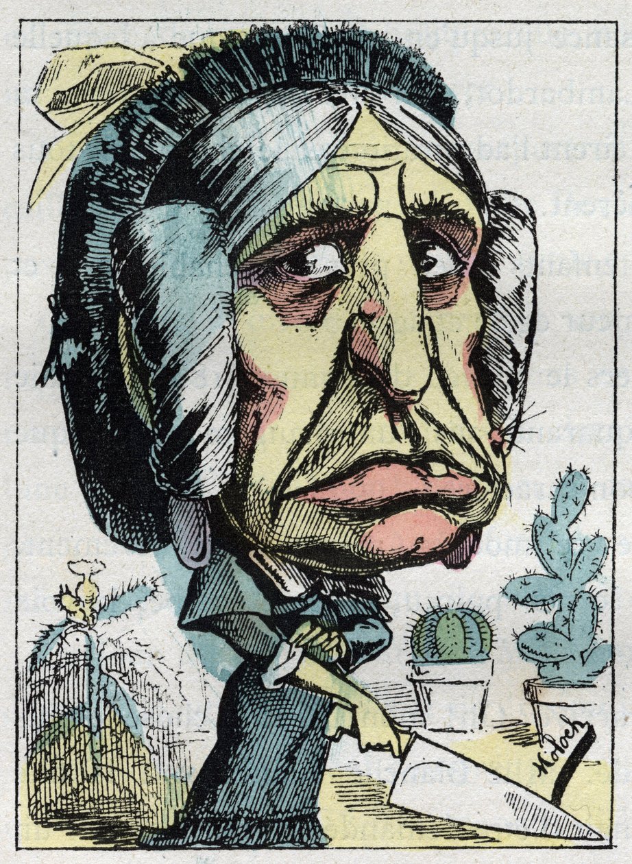 Allegori over "" stedmoderen "" (Belle mere) i "" Le Trombinoscope"" af Touchatout, karikatur af B. Moloch fra 1882 (1849-1909). Privat samling. af Moloch