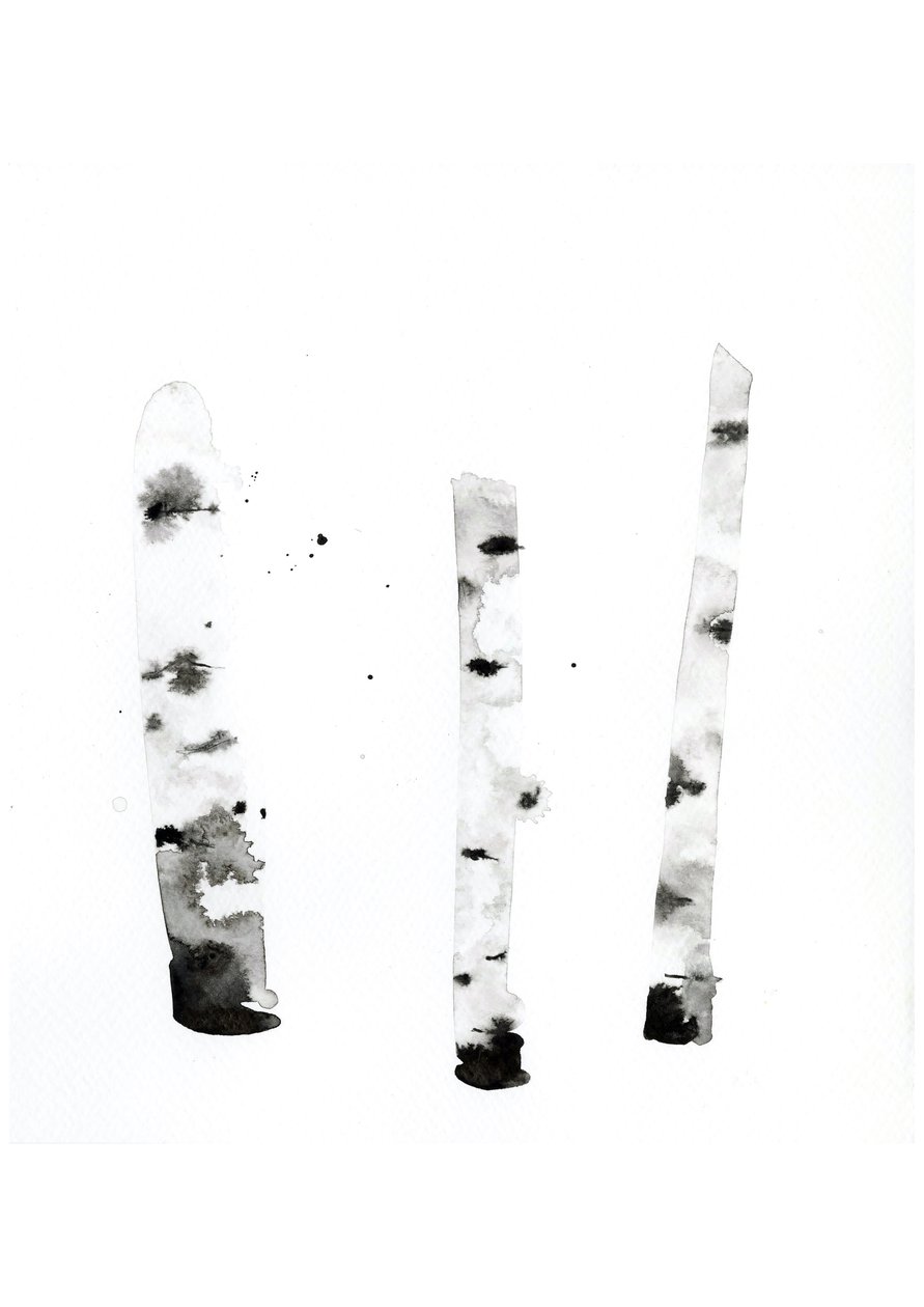 Ghost Birch, 2022 (akvarel på Langton, 300 gsm koldpresset papir) af Monica Perez Vega