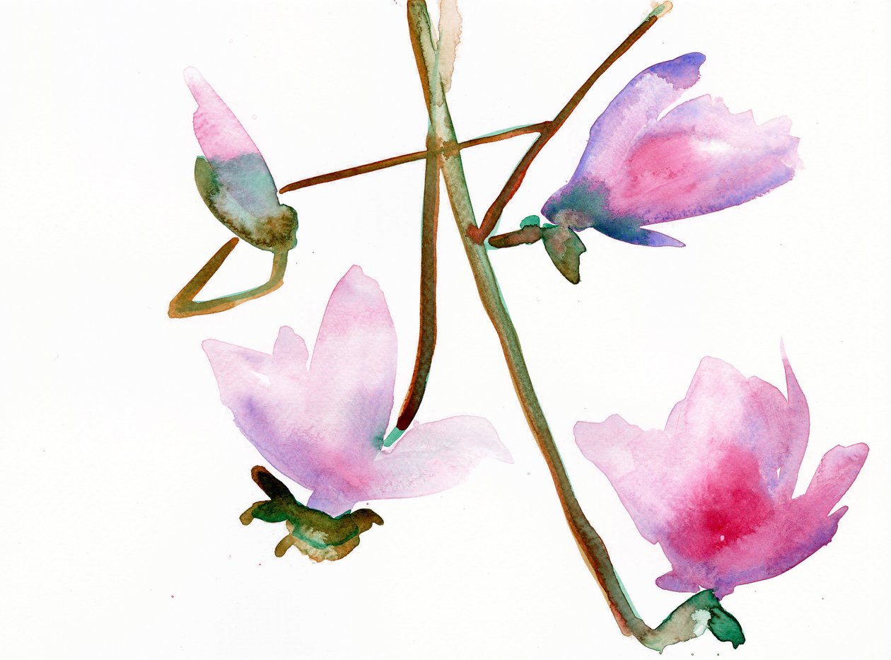 Magnolia 1, 2022 (akvarel på Langton, 300 gsm koldpresset papir) af Monica Perez Vega